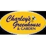 Charley's (AU)