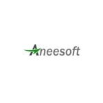 get 20% off at aneesoft