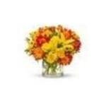 Allflowersandgifts.com