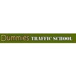 Dummies Traffic School