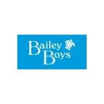 2 free gift with bailey light rollerball