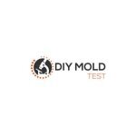 DIY Mold Test