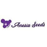 Anesia Seeds