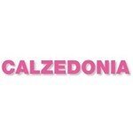 CALZEDONIA US