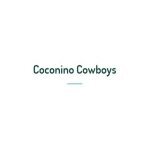 cowboys collection from $45