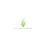 CTS Air Plants