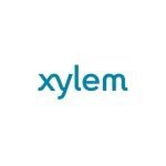 Xylem