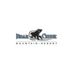 20% off mountain bear lodge