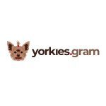 Yorkies Gram Codes