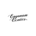 get 10% off at enyonam exotics