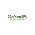 Driscoll's