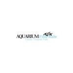 Aquarium Fish Sale