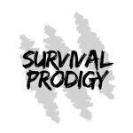 Survival Prodigy Codes