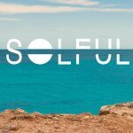 SOLFUL