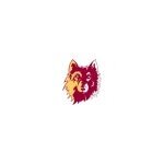 Northern State Wolves