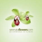 Serenata Chocolates