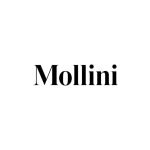 Mollini