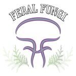 Feral Fungi