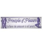 Principles of Pleasure Lingerie