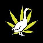 Loose Goose CBD