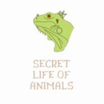 Secret Life of Animals