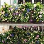 The Flower Box, theflowerbox.co.uk, coupons, coupon codes, deal, gifts, discounts, promo,promotion, promo codes, voucher, sale