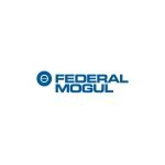 Federal Mogul