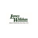 Lamey Wellehan Shoes