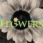 Freds-Flowers.com