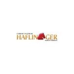 Haflinger