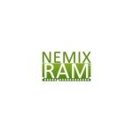 Nemix RAM Electronics