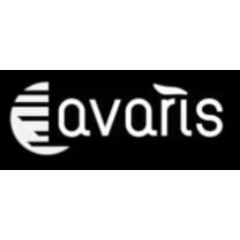 Avaris