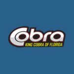 King Cobra of Florida