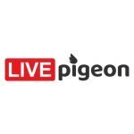 LivePigeon