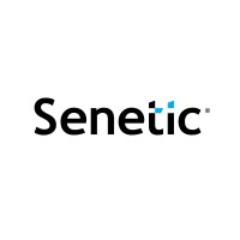 Senetic IT