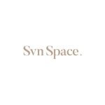 Svn Space