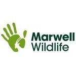 Marwell Zoo