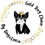 Gold Dog Chain