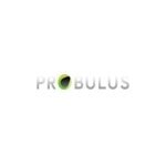 Probulus