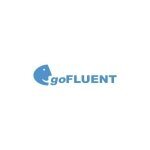 GoFLUENT