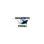 MegaTeeth