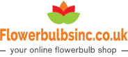 Flower bulbs Promo Codes