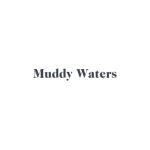 Muddy Waters