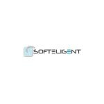 Softeligent