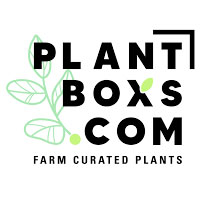 PlantBoxs