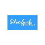 Silver Surf