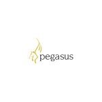 Pegasus Software