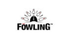 Play Fowling