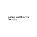 Native Wildflowers