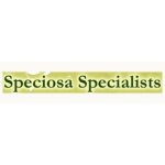 Speciosa Specialists